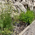 New Unique Stone With Seaview, Pool And Garden * Poljane