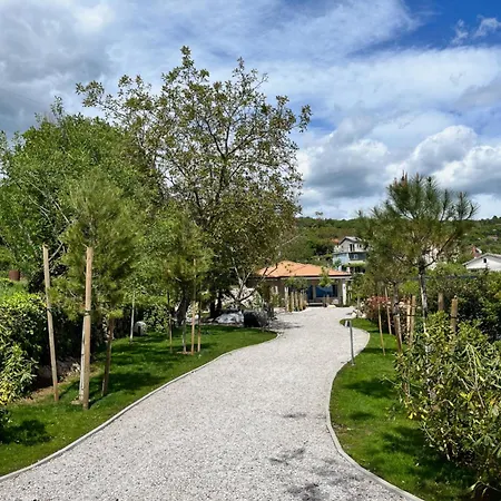 New Unique Stone With Seaview, Pool And Garden Villa *