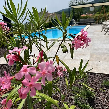New Unique Stone With Seaview, Pool And Garden Poljane