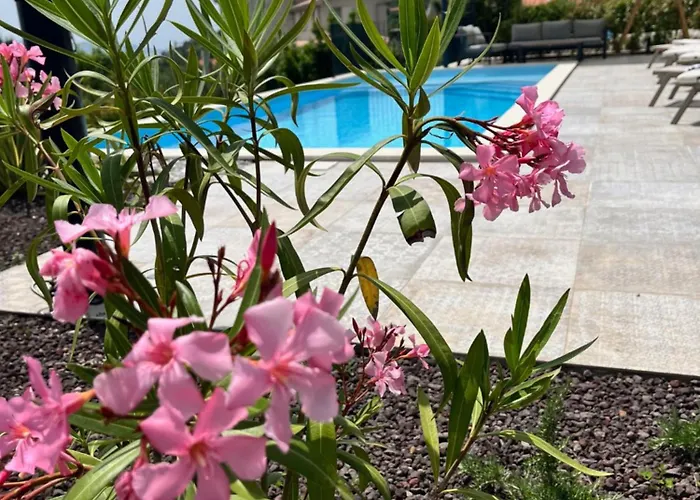 New Unique Stone With Seaview, Pool And Garden Poljane