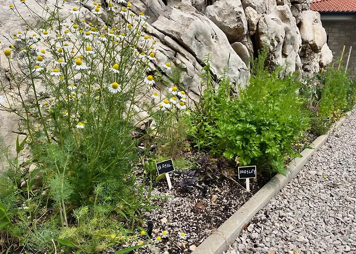 New Unique Stone With Seaview, Pool And Garden * Poljane